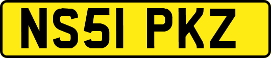 NS51PKZ