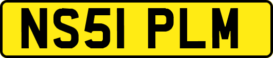 NS51PLM