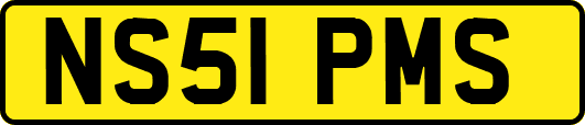 NS51PMS