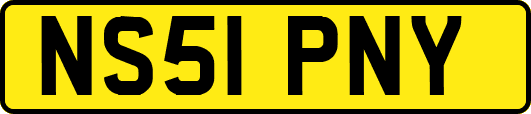 NS51PNY