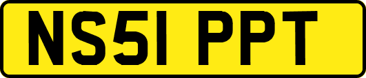 NS51PPT