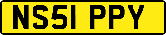 NS51PPY
