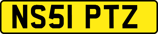 NS51PTZ