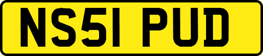 NS51PUD