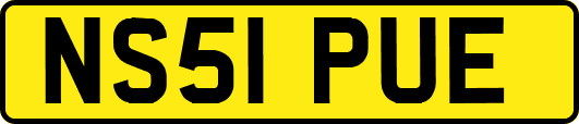 NS51PUE