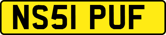 NS51PUF