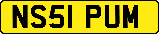 NS51PUM
