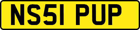 NS51PUP