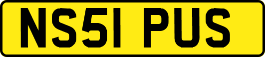 NS51PUS