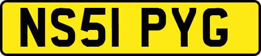 NS51PYG