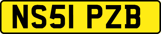 NS51PZB