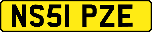 NS51PZE