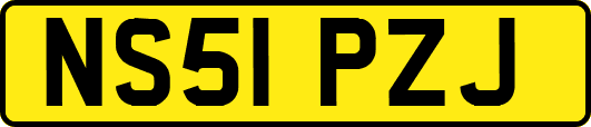 NS51PZJ