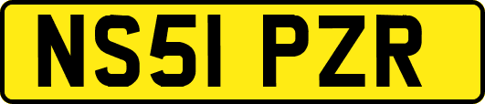 NS51PZR