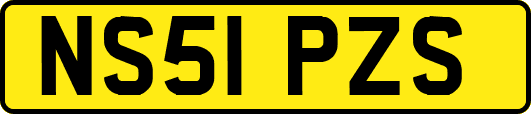 NS51PZS