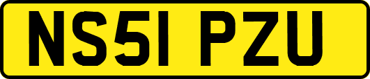 NS51PZU