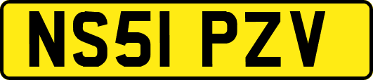 NS51PZV