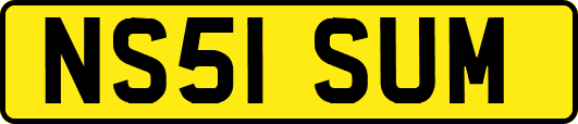 NS51SUM