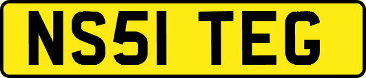NS51TEG