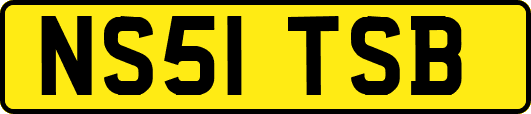 NS51TSB