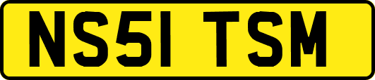 NS51TSM
