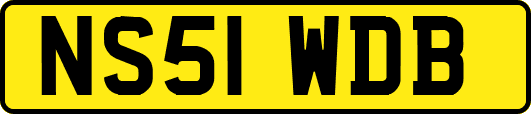 NS51WDB