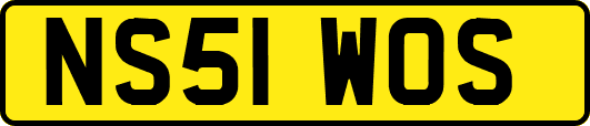 NS51WOS