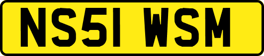 NS51WSM