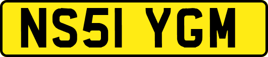 NS51YGM