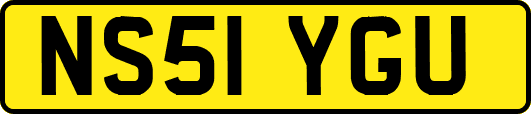 NS51YGU