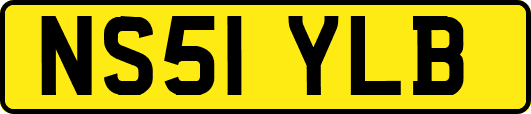 NS51YLB