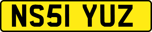 NS51YUZ