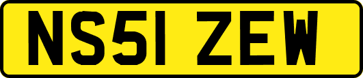 NS51ZEW