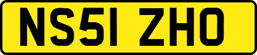NS51ZHO