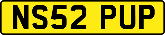 NS52PUP