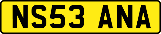 NS53ANA