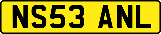 NS53ANL