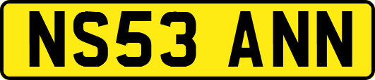 NS53ANN