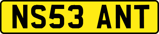 NS53ANT