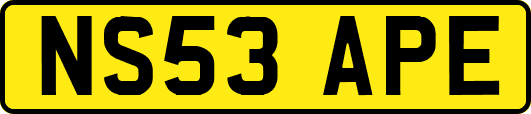 NS53APE
