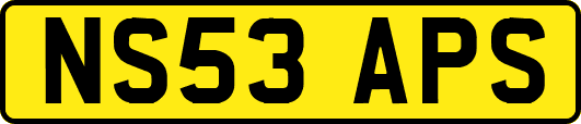 NS53APS