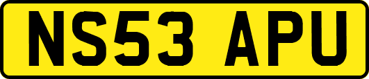 NS53APU