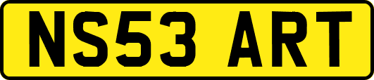 NS53ART