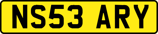 NS53ARY