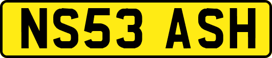 NS53ASH
