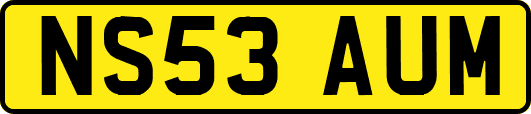 NS53AUM