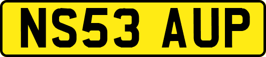 NS53AUP