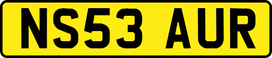 NS53AUR