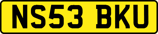 NS53BKU