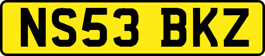 NS53BKZ